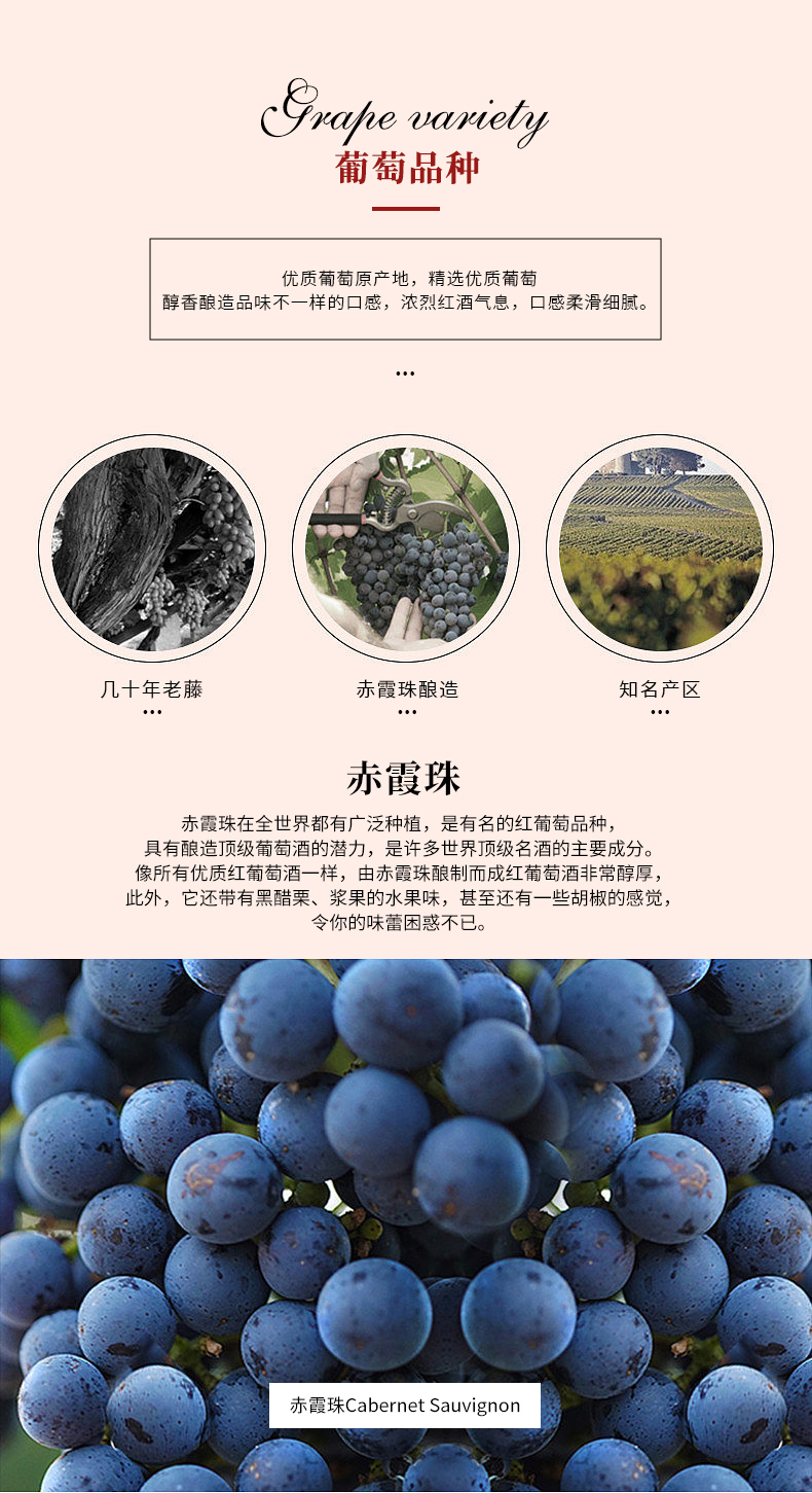 91桃色在线观看多莉詳情頁_02.jpg
