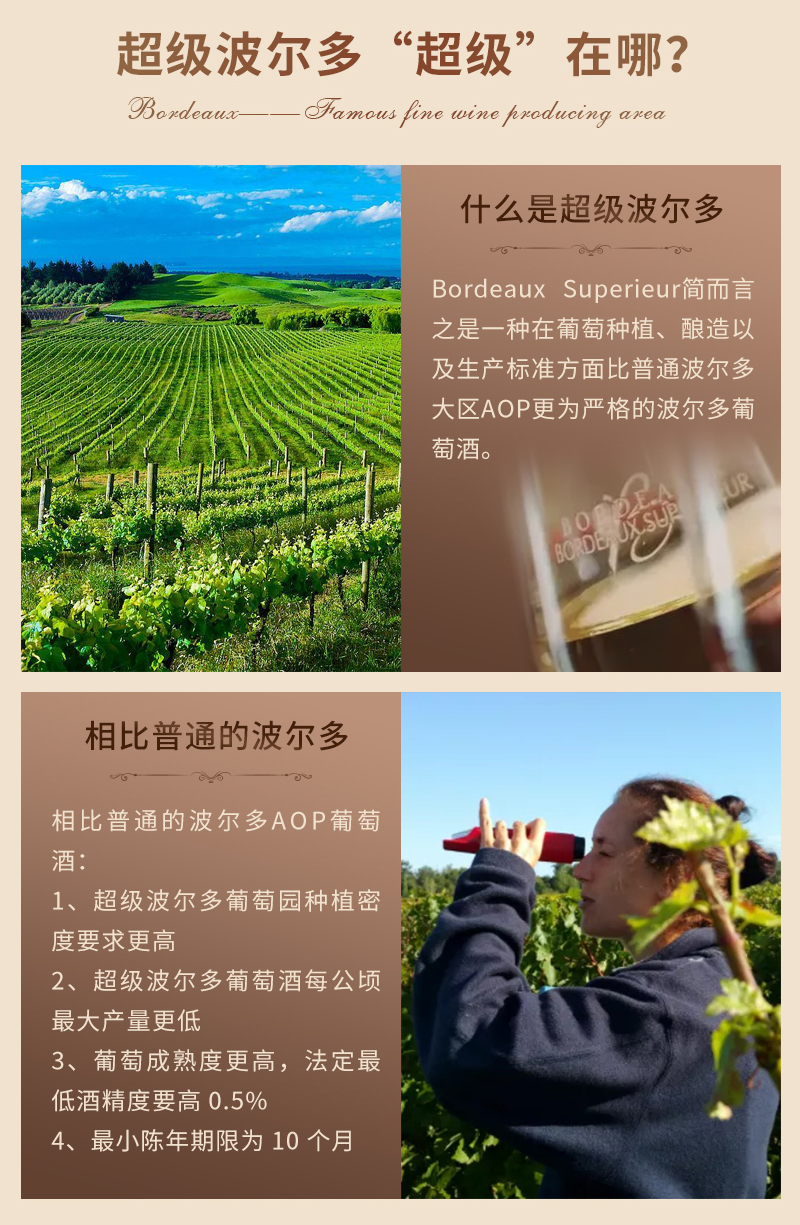 91桃色在线观看吉娜詳情頁_02.jpg