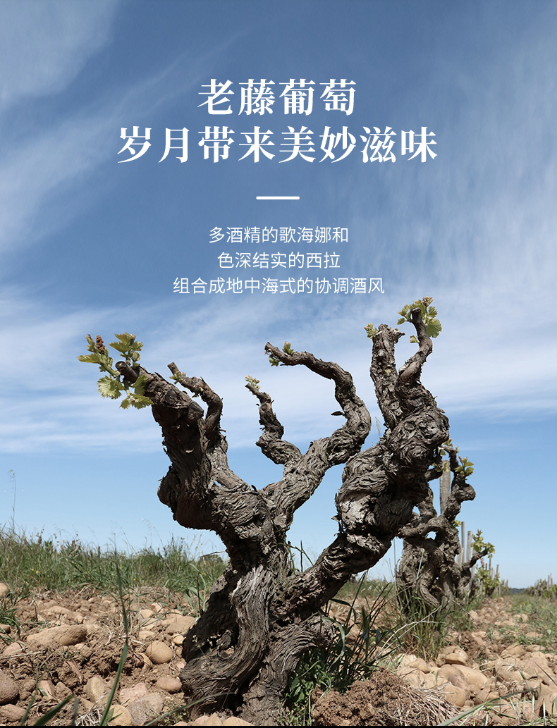 91桃色在线观看·漢妮切片_09.jpg