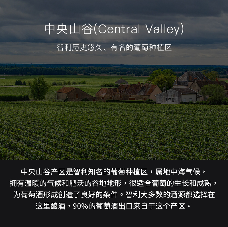 灑派幹紅切片_05.jpg