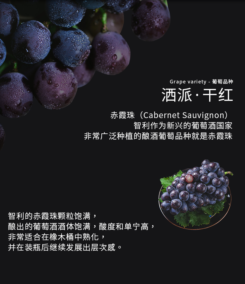 灑派幹紅切片_04.jpg