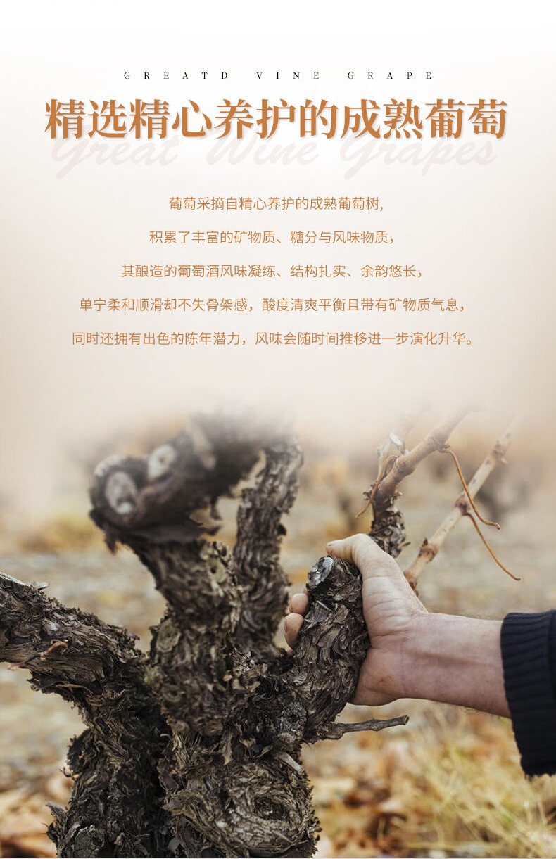 91桃色在线观看·山穀老藤切片_07.jpg