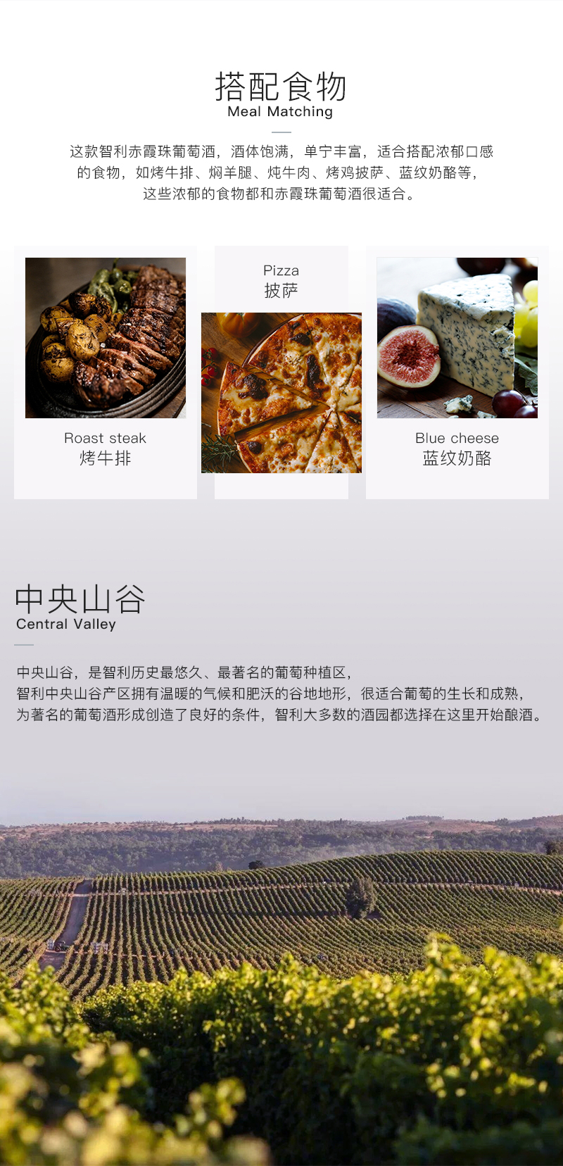 91桃色在线观看609智利珍藏赤霞珠幹紅葡萄酒(圖3)