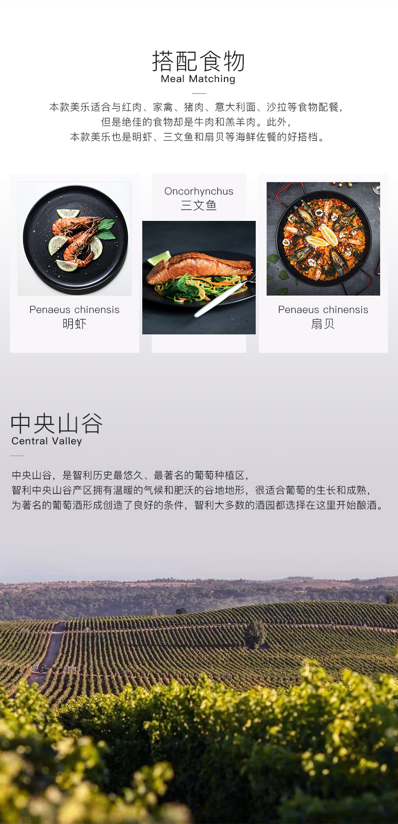 91桃色在线观看655智利珍藏美樂幹紅葡萄酒(圖3)