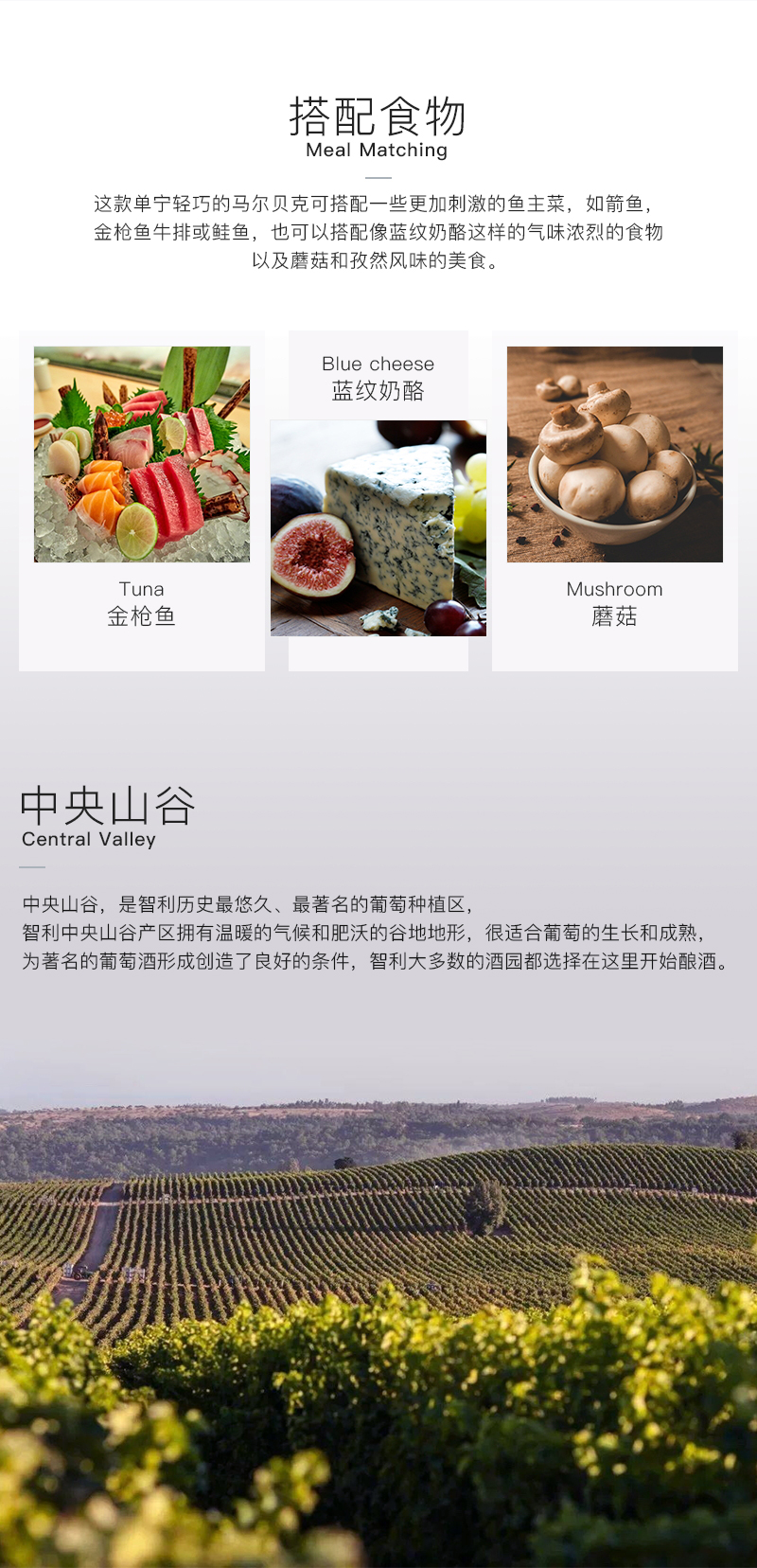 91桃色在线观看616智利珍藏馬爾貝克幹紅葡萄酒(圖3)