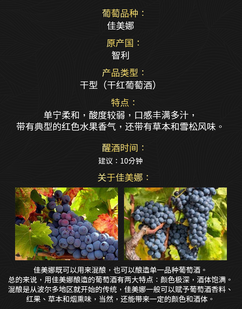 91桃色在线观看688智利原瓶進口佳美娜幹紅葡萄酒(圖2)