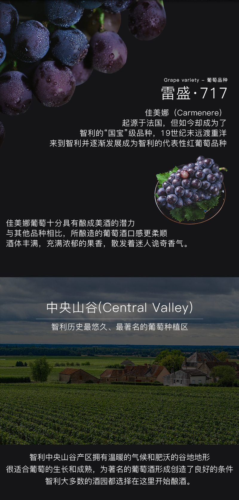 91桃色在线观看717智利特級佳美娜幹紅葡萄酒(圖4)