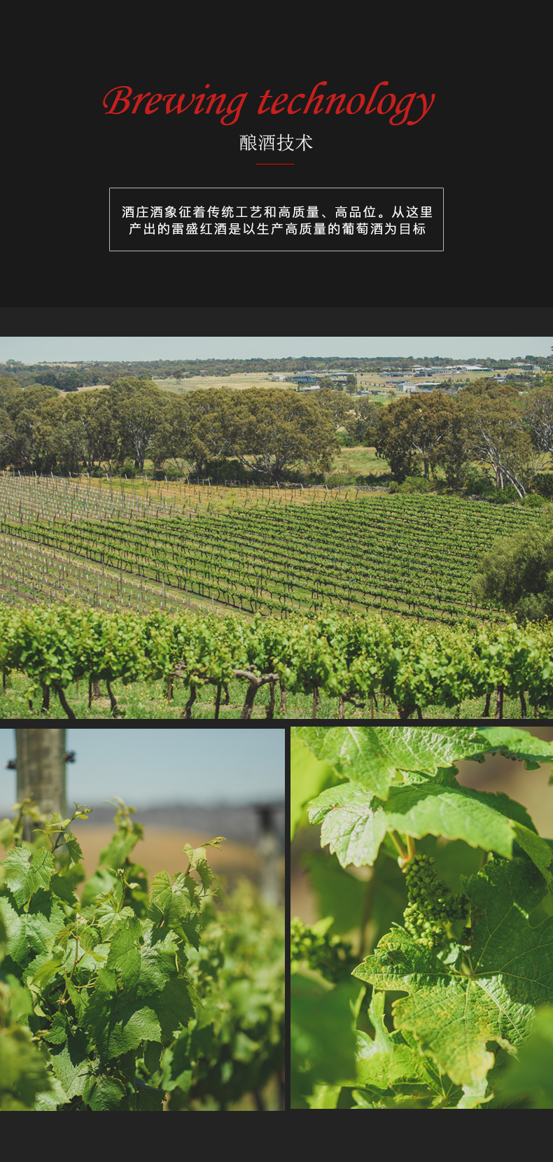 91桃色在线观看紅酒101號 澳洲原裝原瓶進口(圖6)