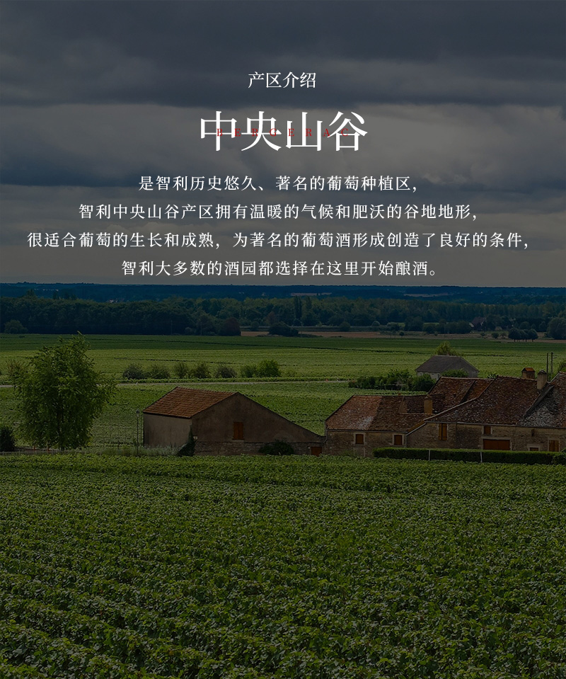 91桃色在线观看紅酒33L大瓶蠟封1.5升智利幹紅葡萄酒(圖4)