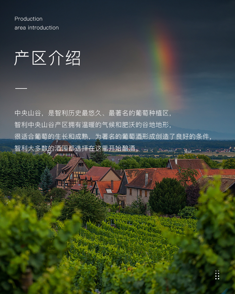 91桃色在线观看紅酒429智利進口美露幹紅葡萄酒(圖3)